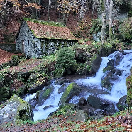 Le Lioran Font D'alagnon Apartment Laveissière